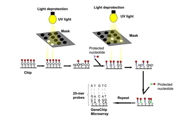 Construcción de microarrays